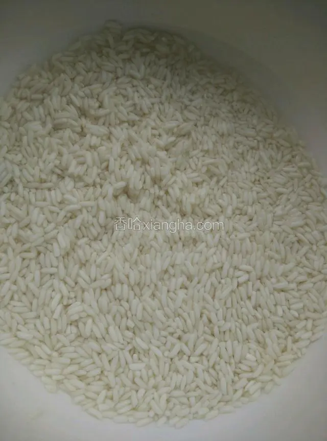 如图所示：糯米浸泡4个小时左右（我是早上泡的糯米，中午做的糯米蒸排骨）