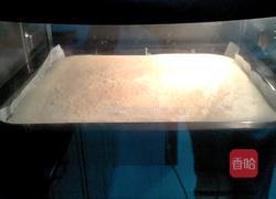 花生酱蛋糕卷的做法图解13