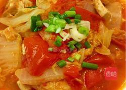 西红柿白菜豆腐的做法图解3