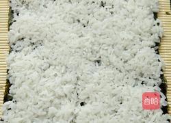 金枪鱼寿司的做法图解4