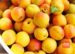 杏子酒的做法图解1