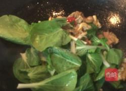 平菇肉片小炒的做法图解8