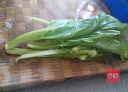 蚝油芥菜的做法图解1