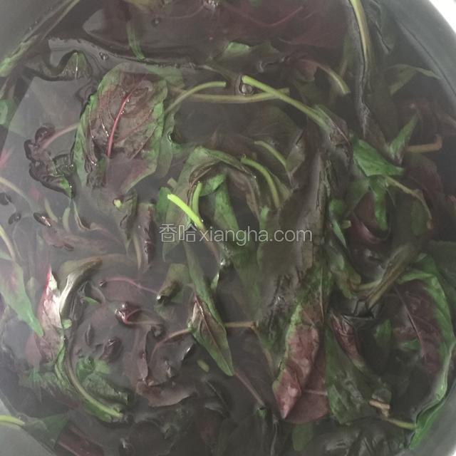 把苋菜放进开水里悼一下