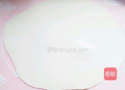 鸡肉胡萝卜馄饨的做法图解4