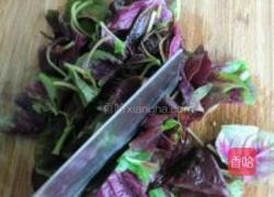 苋菜鸡蛋饼的做法图解3