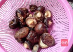 磨菇焖鸡肉的做法图解3