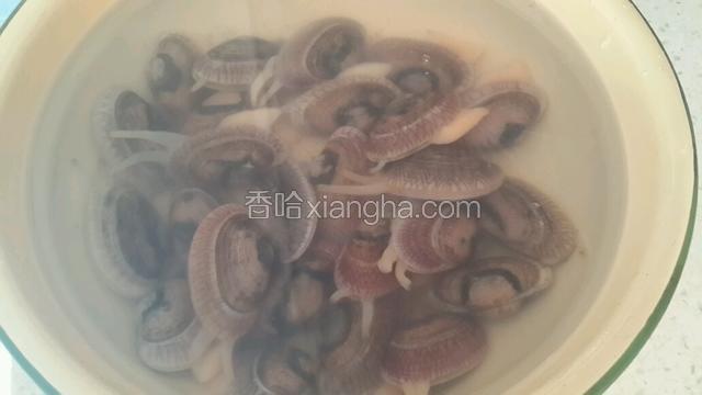 花甲买回来用清水冲干净，然后加少许盐在水里泡着