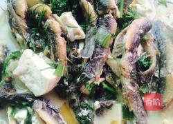 泥鳅炖豆腐的做法图解7