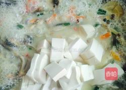 泥鳅炖豆腐的做法图解5