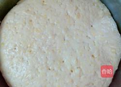 玉米发糕的做法图解7