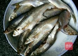 黄豆烧河鱼的做法图解1