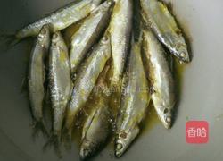 黄豆烧河鱼的做法图解2
