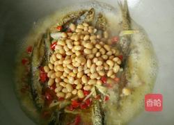 黄豆烧河鱼的做法图解3