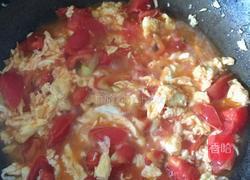 西红柿鸡蛋盖浇面的做法图解4