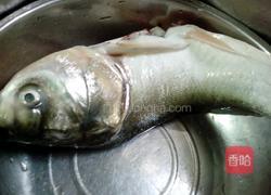 焖鲢鱼的做法图解1
