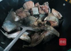 焖鲢鱼的做法图解5