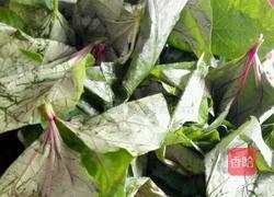 地瓜叶窝窝的做法图解1