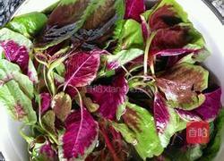 胭脂冬瓜的做法图解1