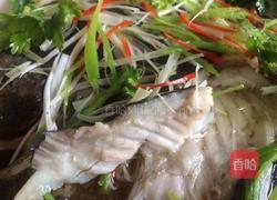 清蒸多宝鱼的做法图解13