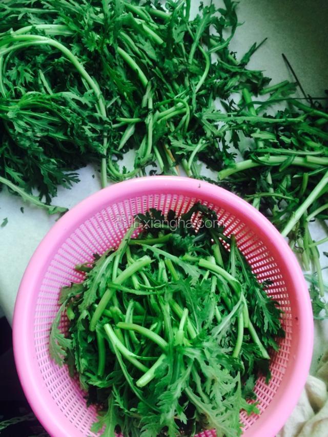 茼蒿摘成一段一段的 也可以切 去掉老根