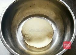 原味苏打饼干的做法图解5