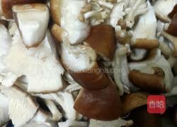 羊肉萝卜养身汤的做法图解10