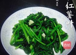 清炒红薯叶的做法图解6