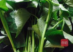 清炒红薯叶的做法图解1