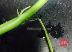 清炒红薯叶的做法图解2