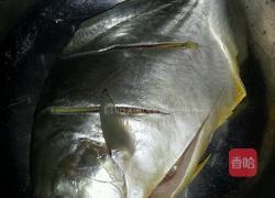 焖金枹鱼的做法图解2