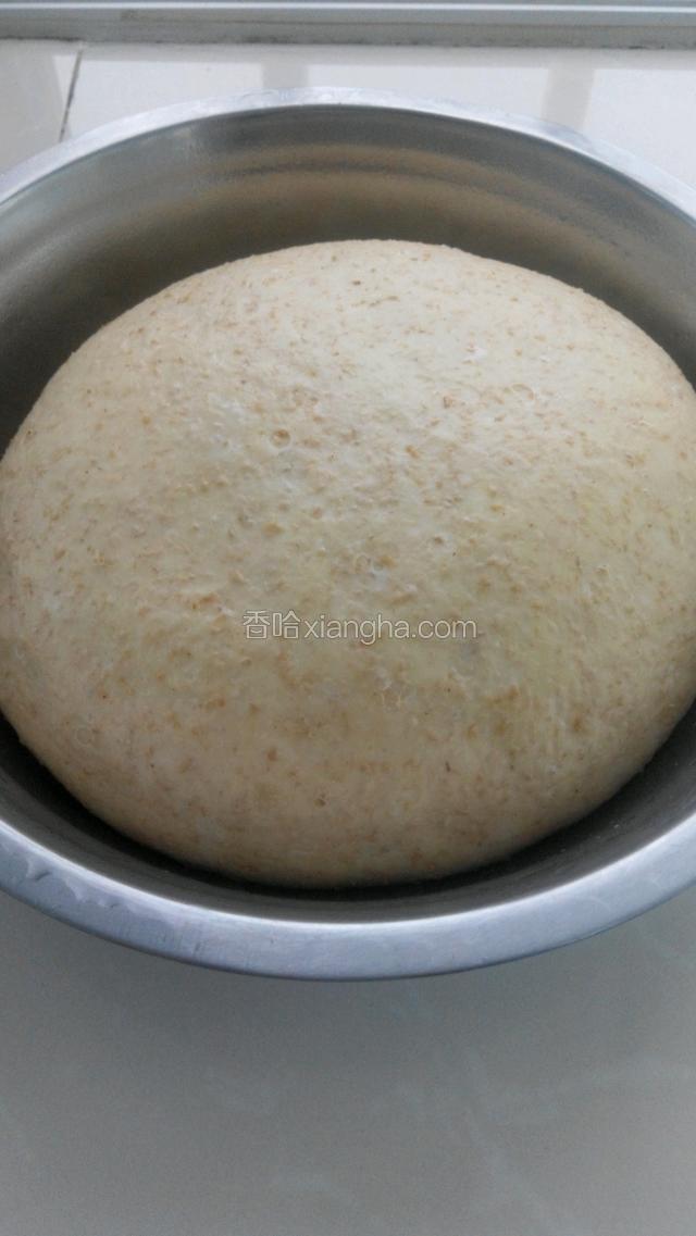 盖上保鲜膜面团发酵2至2.5倍大