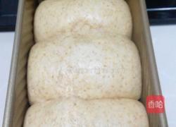 葡萄干全麦土司的做法图解6