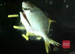 红烧金枪鱼的做法图解3