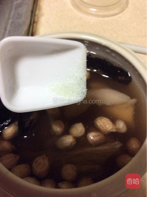 加入微微少许盐，注意是很少噢！稍微一点点就要，不然炖出的汤不好喝，会苦，对身体也不好