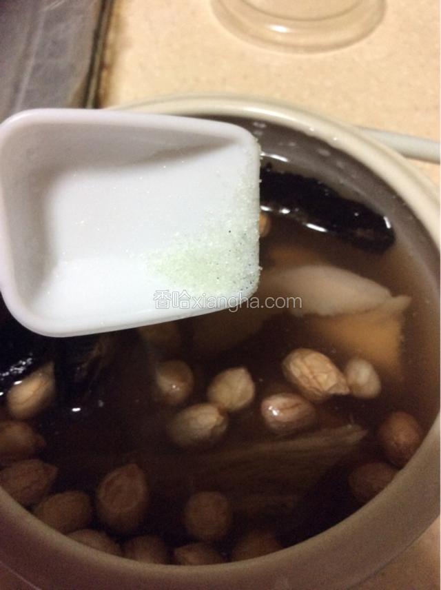 加入微微少许盐，注意是很少噢！稍微一点点就要，不然炖出的汤不好喝，会苦，对身体也不好