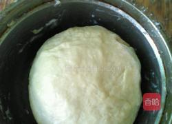 汉堡小餐包的做法图解5