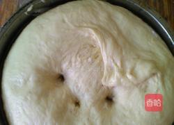 汉堡小餐包的做法图解6