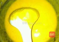 Pumpkin Carrot Egg Pancake Recipe Illustration 2