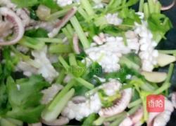炒鲜鱿的做法图解6