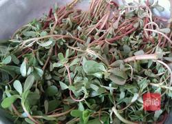 陕西面食~马齿笕菜面的做法图解1