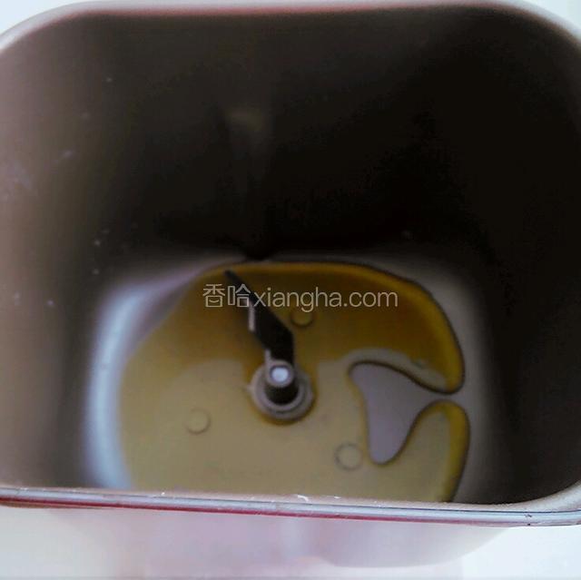 面包机加黄油面团放入揉面