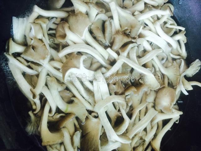 蘑菇焯水 挤干水 