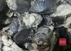 山药炖鸡汤的做法图解2