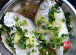 清蒸海鱼的做法图解5