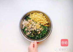 白菜饺子的做法图解1