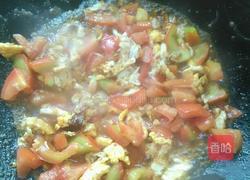 番茄炒蛋的做法图解11