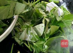 蒜蓉空心菜的做法图解7