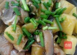 香菇土豆焖鸡的做法图解9