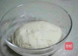 猪肉洋葱馅饼的做法图解1